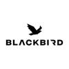 Blackbird Fitness