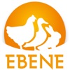 EBENE ITAVI