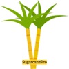 SugarcanePro