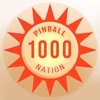 Pinball Nation