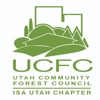 UTCC Companion