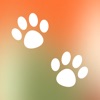 TreatWalk: Dog Walk Tracker