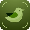 Bird Identifier & Guide