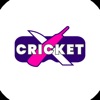 Cricket X Companion