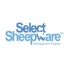 Select Sheepware