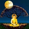 Buddha Purnima Greeting Quotes