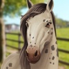 Horse Hotel - care for horses