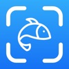 Fish Identifier : AI Verify