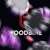 Woodbine Explore: Stay & Dine