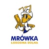 Mrówka Łososina Dolna