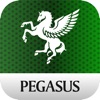 Pegasus Cobalt