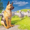 Wild Shepherd Dog Life Sim