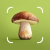 Mushroom ID: Forage Identifier