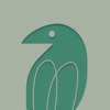 向知