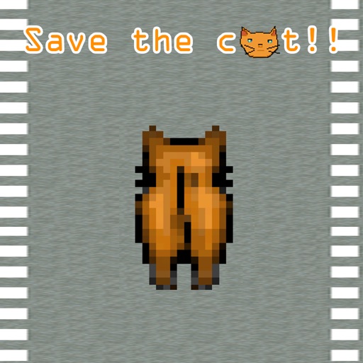 Save the cat !!!