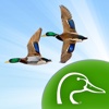 Ducks Unlimited Waterfowl Migration App