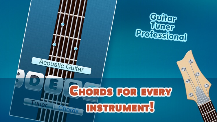 Guitar Tuner Professional Adv