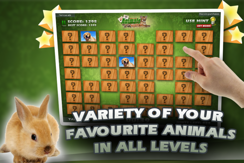 Animals Match Card Game screenshot 4
