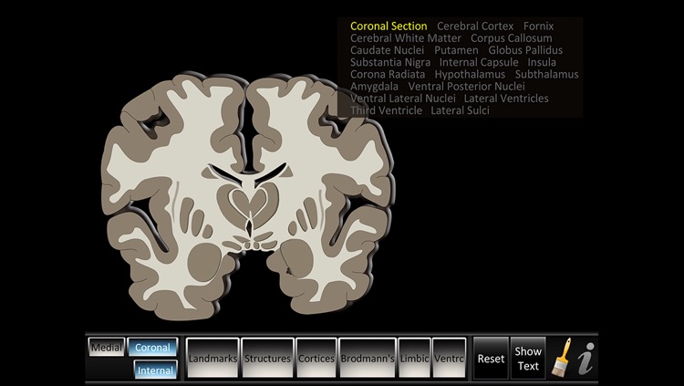 Cerebrum ID