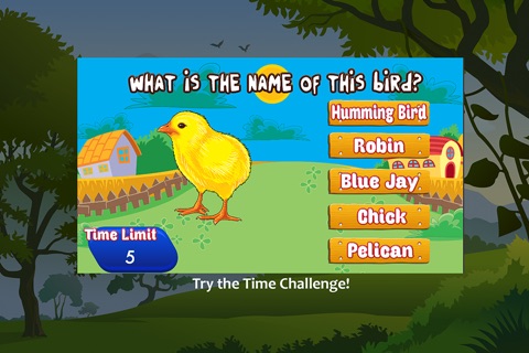 Birds of different kinds around the World screenshot 3