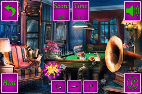 Hidden Objects:The Hero Of NewYork screenshot 2