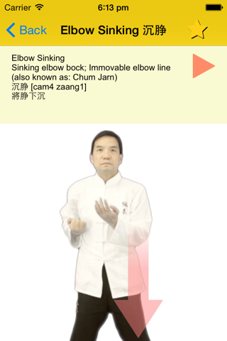 Wing Chun Glossary screenshot 3