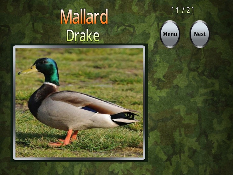 Duck ID "For iPad"