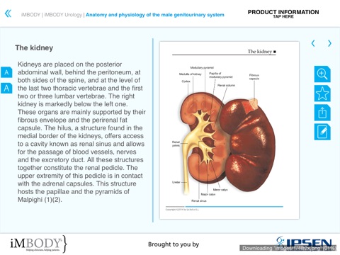 iMBODY Urology screenshot 2