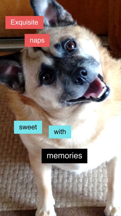 Instant Poetry 2