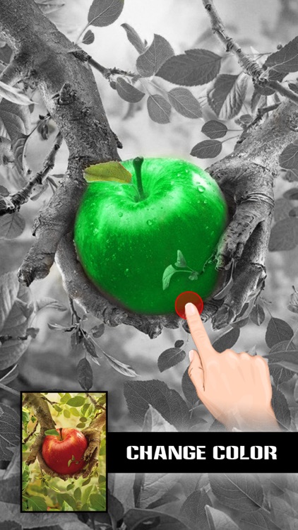 Photo Color Picker Pro - Black & White, Selective Grayscale plus Recolor Effects Modifier