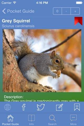 Pocket Guide UK Game screenshot 2