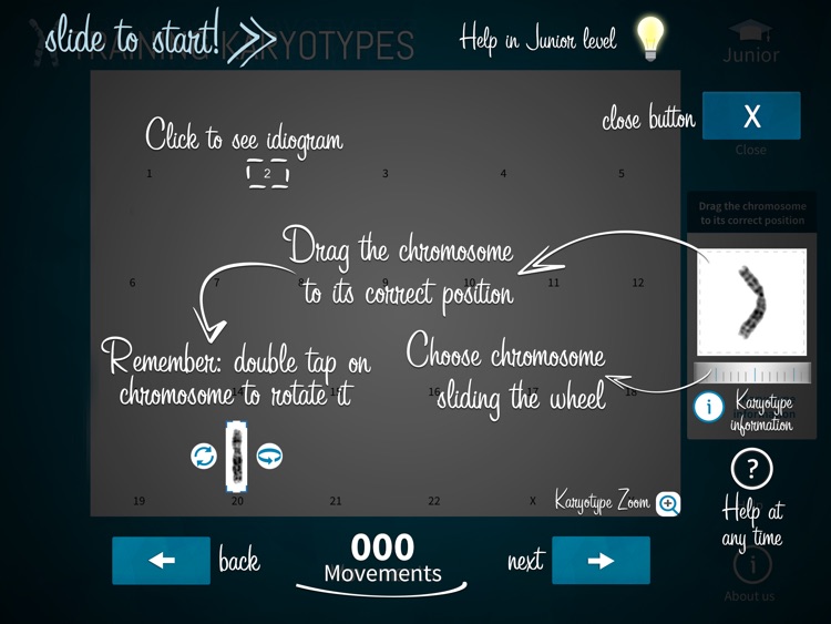Training Karyotypes Lite screenshot-4