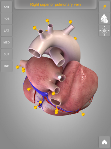 心臓解剖 Heart 3D Atlas of Anatomyのおすすめ画像5