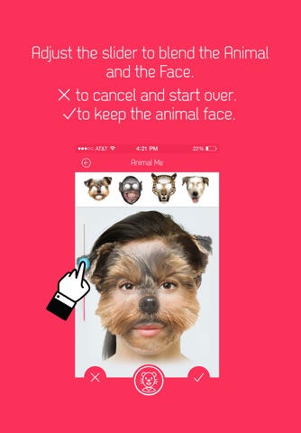 Animal Me-Face Maker screenshot 3