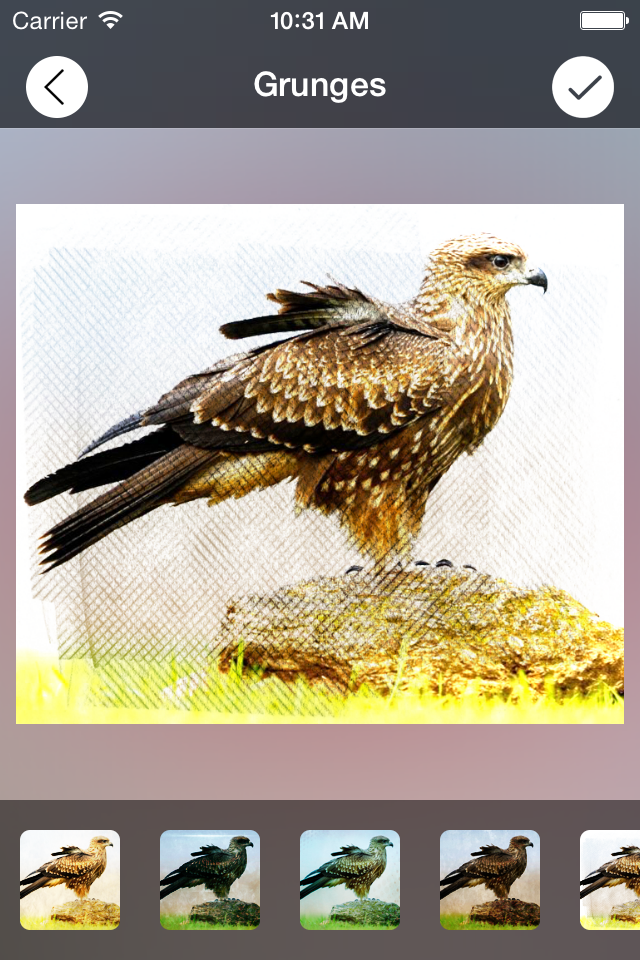 After Focus - Photo Studio