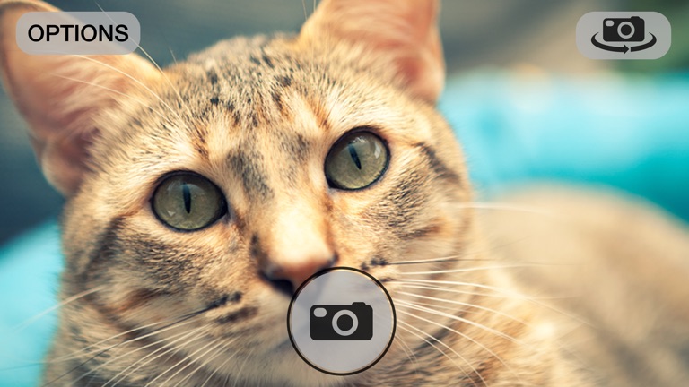 【图】TwoCam(截图1)