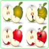 Fruit For Kid - Educate Your Child To Learn English In A Different Way
