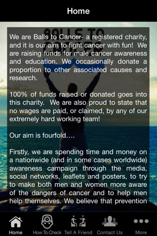 BALLS TO CANCER CHARITY screenshot 2