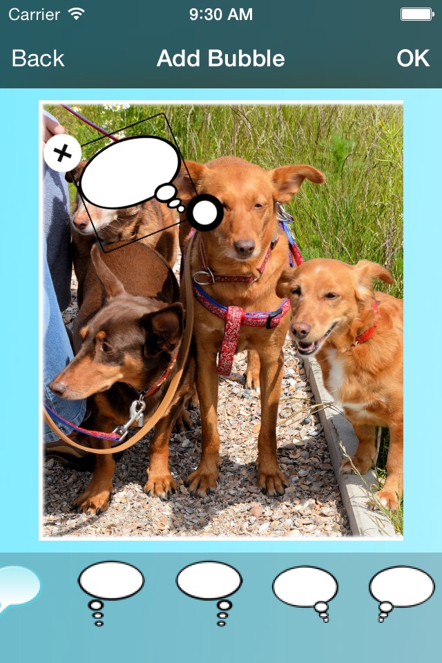 Photo Thought Bubbles - Add Thought and Speech Bubbles to Your Pics screenshot 2