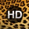 HD Animal Wallpapers for iPad, iPhone, iPod Touch and Mini