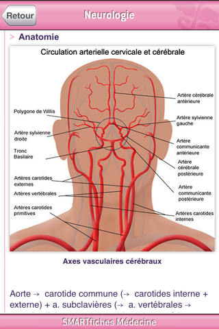 SMARTfiches Neurologie Free screenshot 3