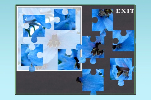 A Flower Puzzle Game - Free screenshot 4