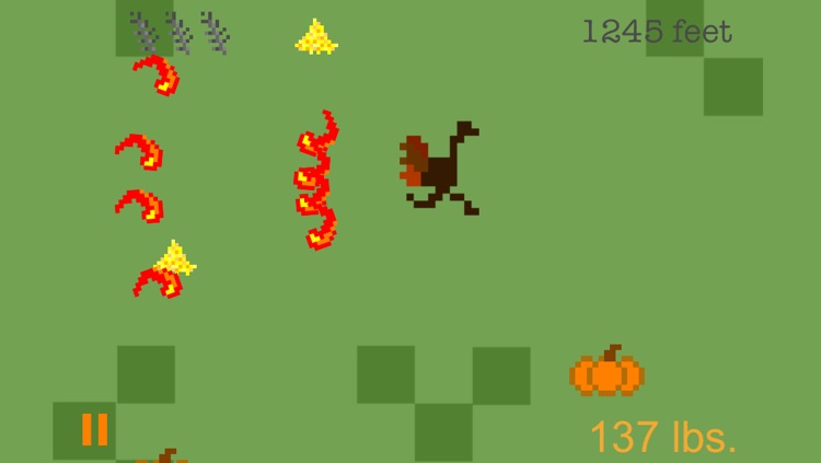Turkey Chase - A Thanksgiving Fun Run