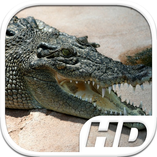 Crocodile Simulator HD Animal Life iOS App