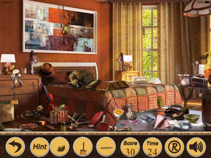 Hidden Objects In Apartments Of Paris