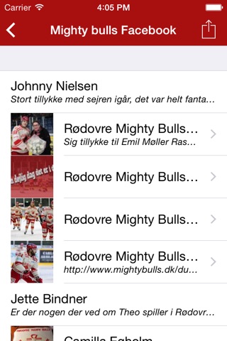 Rødovre Mighty Bulls screenshot 3