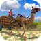 Camel Cart Rider