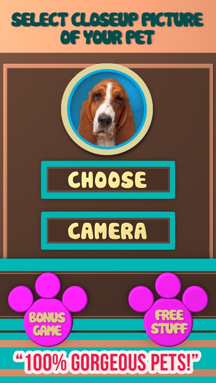 +My Pet Can Talk Videos - Free Virtual Talking Animal Game screenshot-4