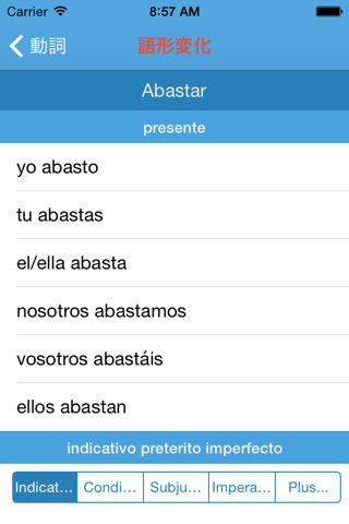 spanish verbs conjugation screenshot 3