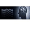 EPPP Examination for Professional Practice in Psychology Simulator